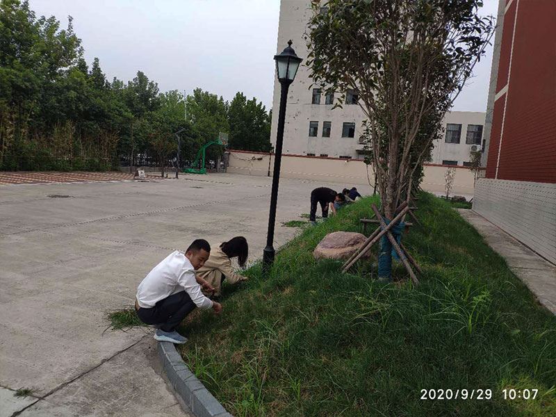 河南博鱼官方网站有限公司总部除草活动